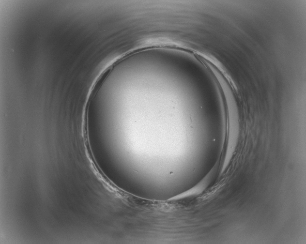 X0000055060815200508161644.png
