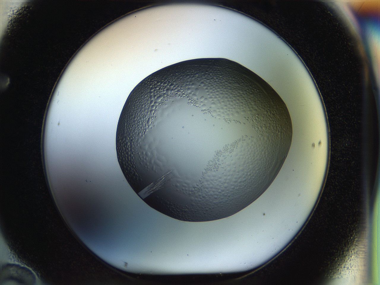 056e_F10_ImagerDefaults_7.jpg