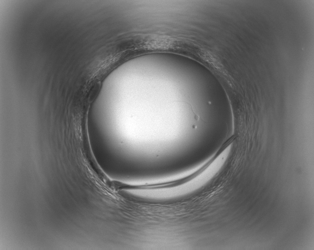 X0000055060681200508161646.png