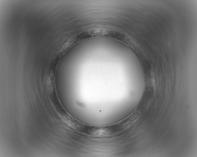 X0000054330460200508111923.png