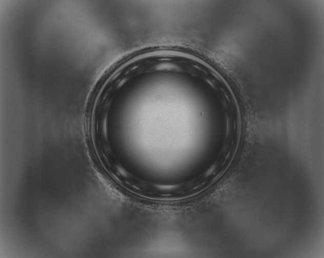 X0000040560942200411021425.png