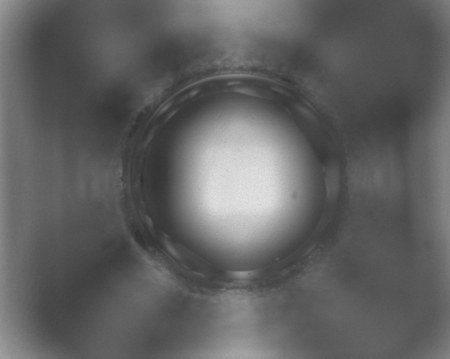 X0000054110490200508022103.png