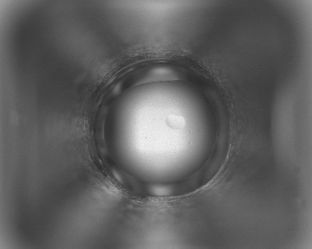 X0000052150144200507052001.png