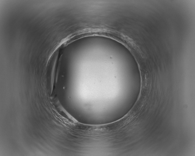 X0000055211165200508301314.png