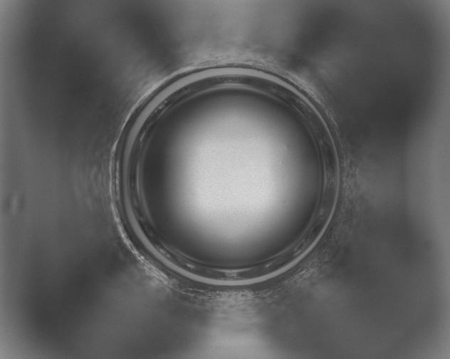 X0000051111055200507141751.png