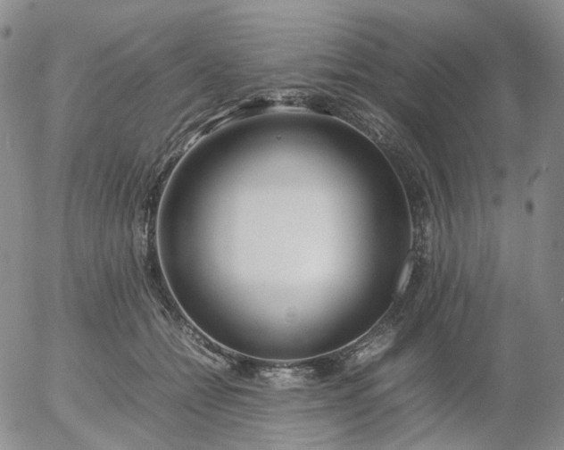 X0000054650558200508091644.png