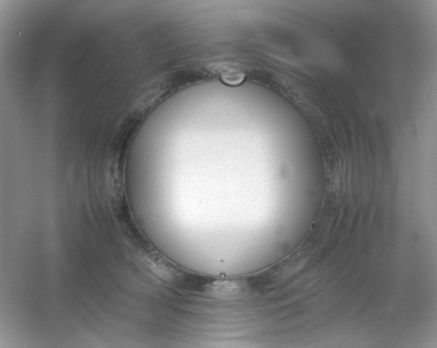 X0000054330418200508111924.png