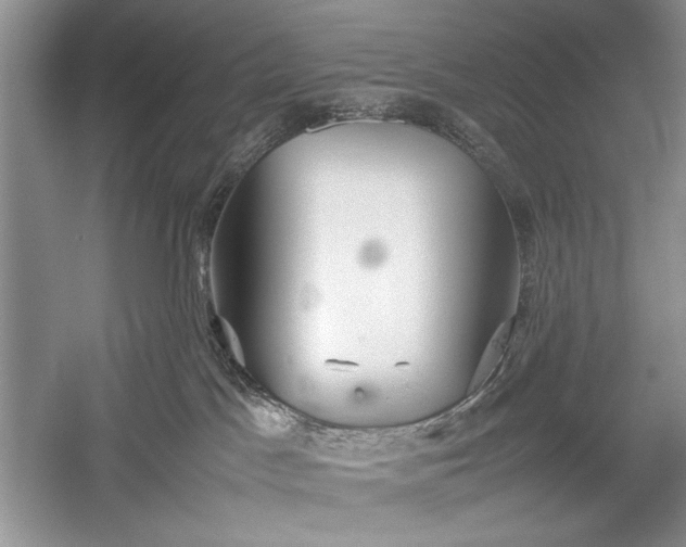 X0000055060045200508161657.png