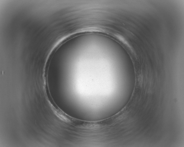X0000054331372200508111908.png