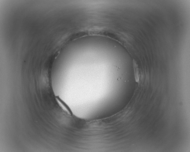 X0000054331252200508111910.png