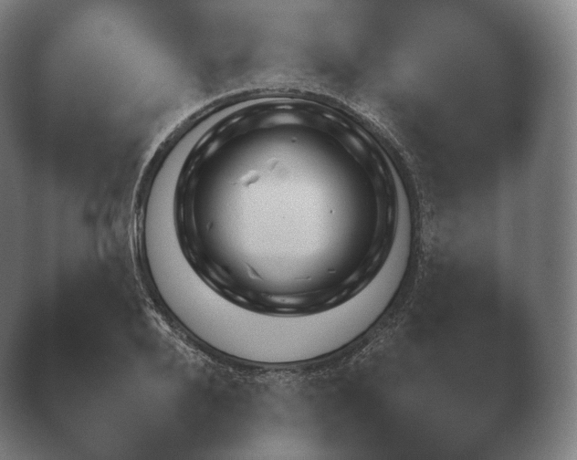 X0000038850888200410131825.png