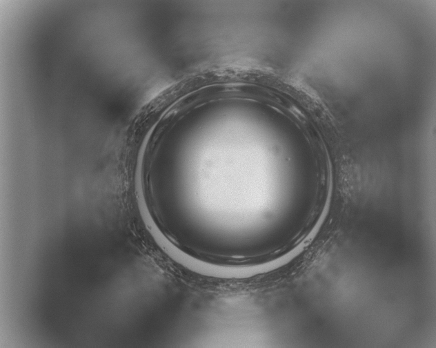 X0000048231112200504061203.png
