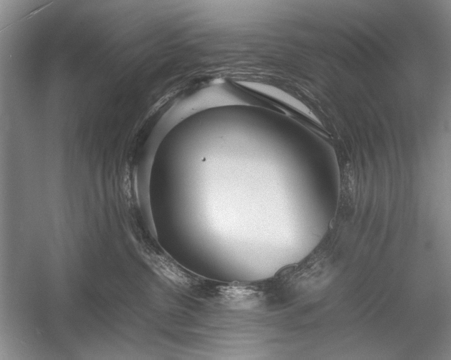 X0000055060380200508161652.png
