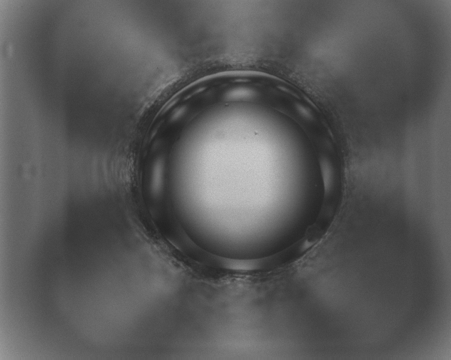 X0000039760120200409281036.png