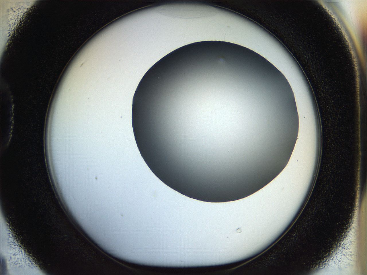 056e_D4_ImagerDefaults_0.jpg