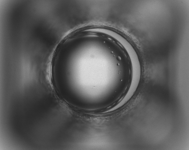 X0000044151272200412271245.png
