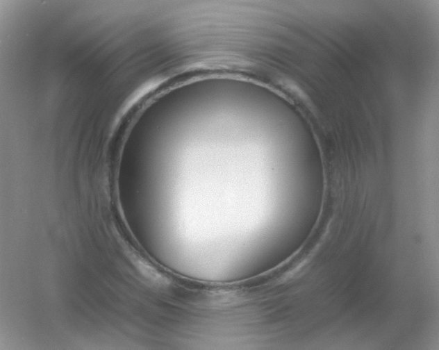 X0000054331114200508111912.png