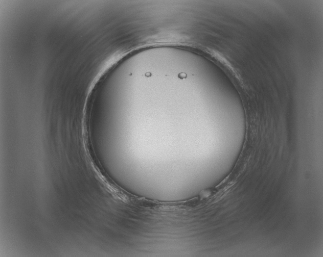X0000055251469200509071602.png