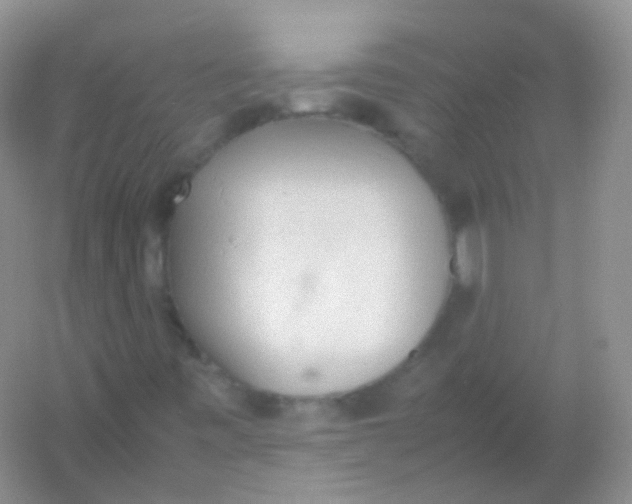 X0000054331443200508111906.png