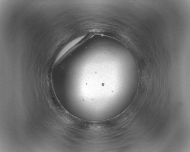 X0000054330547200508111922.png