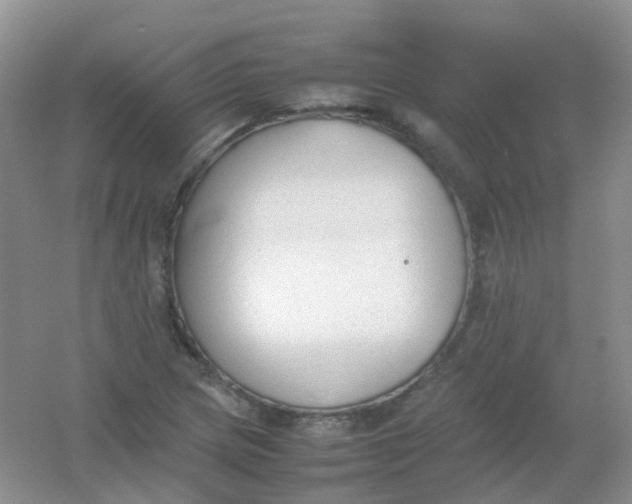 X0000054331217200508111910.png