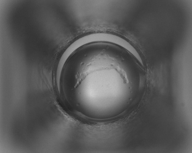 X0000052730013200507141557.png