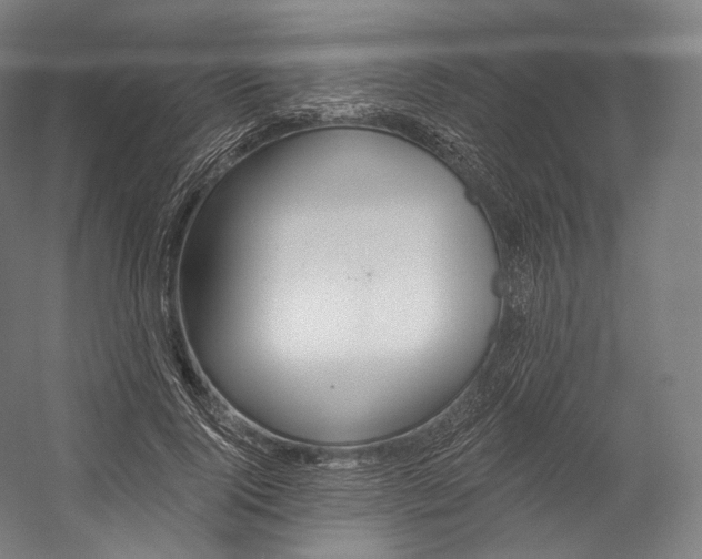 X0000055210740200508301321.png