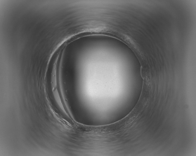 X0000055210532200508301324.png