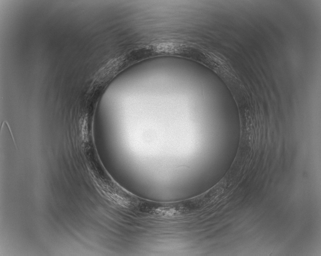 X0000055060502200508161649.png