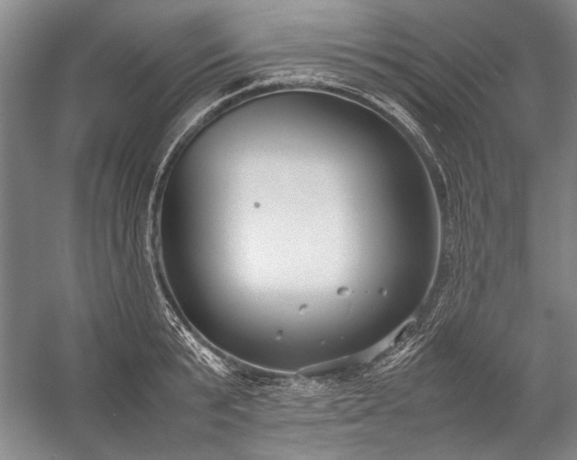 X0000055060799200508161644.png