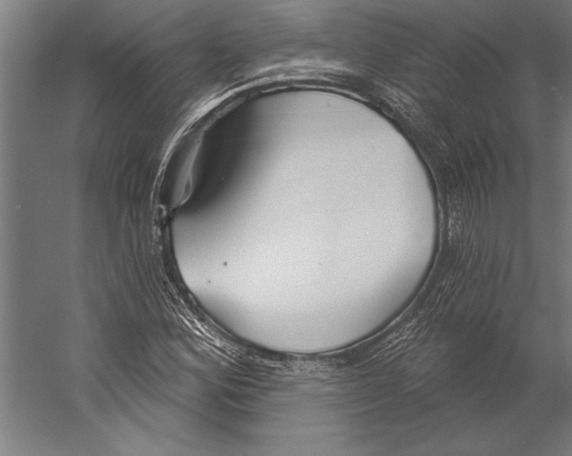 X0000055251164200509071608.png