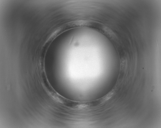 X0000054330158200508111928.png