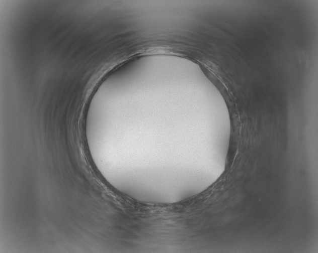 X0000055210289200508301329.png