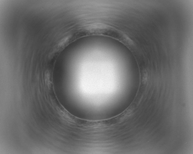 X0000054331108200508111911.png