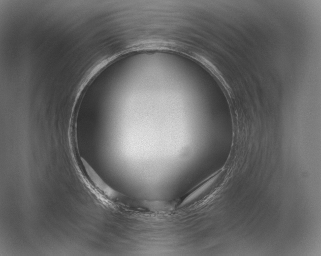 X0000055210901200508301318.png