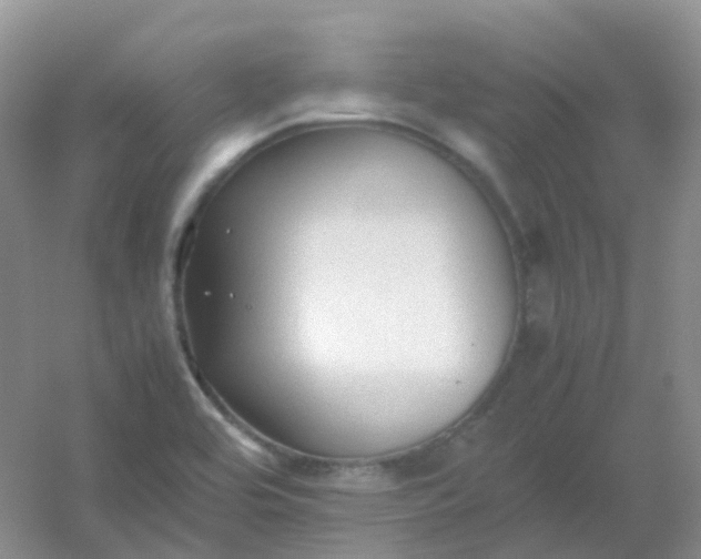 X0000054331464200508111906.png
