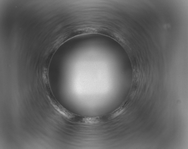 X0000055210141200508301331.png