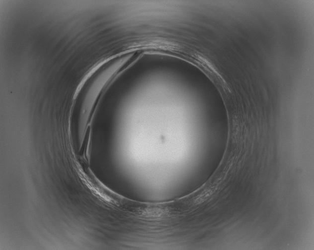 X0000055210788200508301320.png