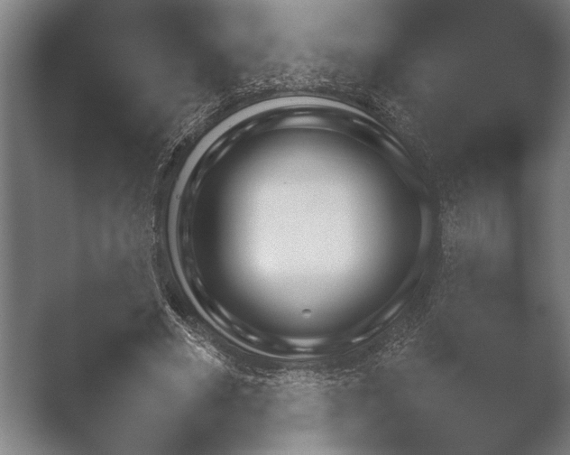 X0000051110490200507141800.png