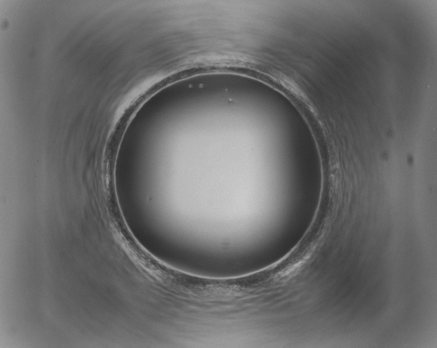X0000054650981200508091637.png