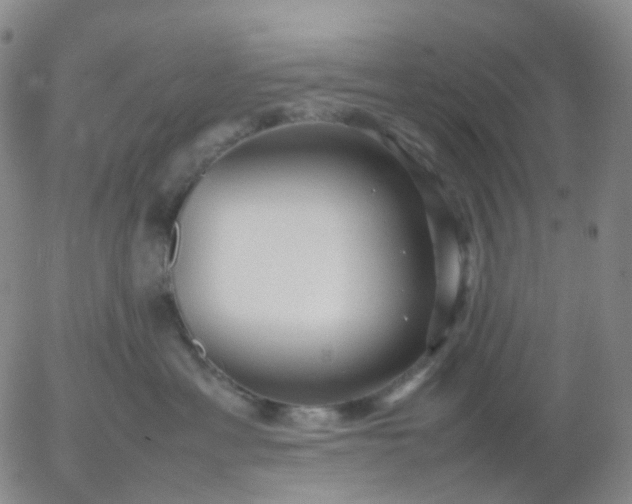 X0000054650429200508091646.png