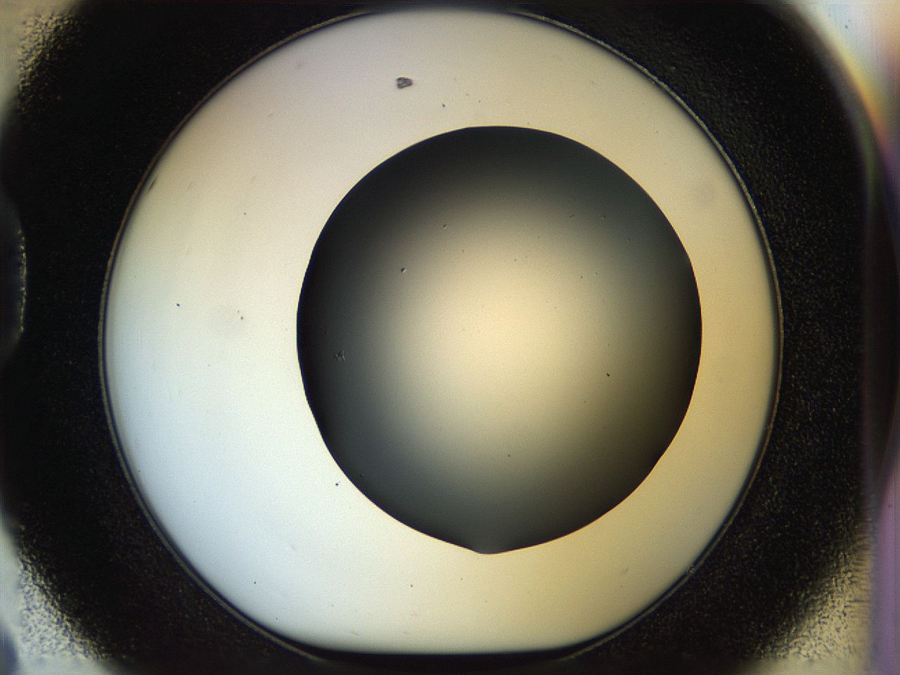 056e_D8_ImagerDefaults_0.jpg