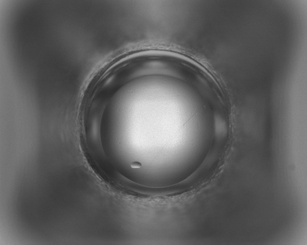 X0000052150007200507052003.png