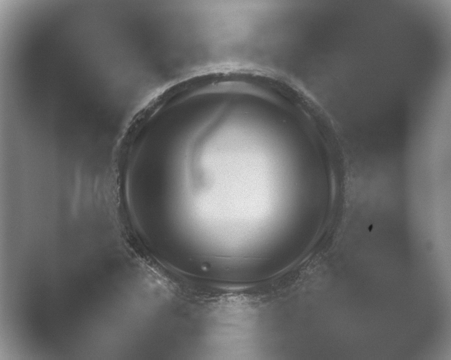 X0000052151315200507051941.png