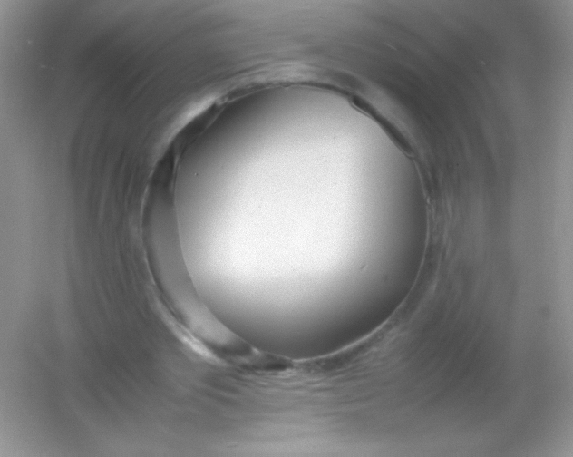 X0000054330389200508111924.png