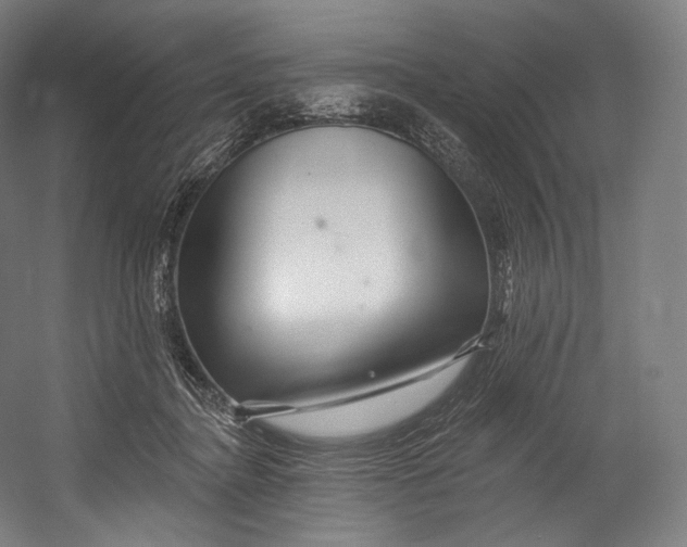 X0000055210364200508301328.png