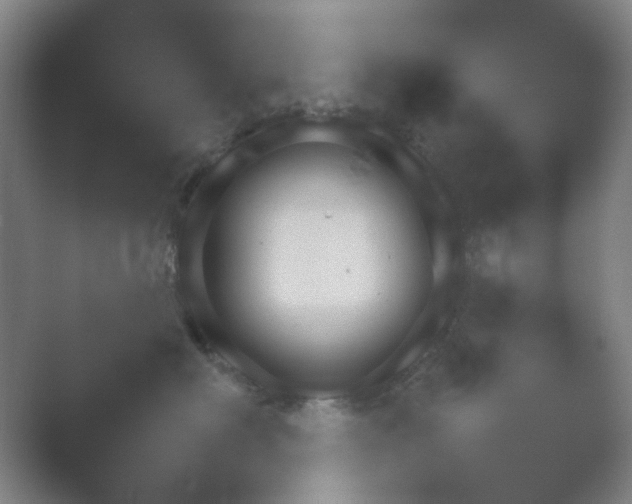 X0000054110622200508022100.png