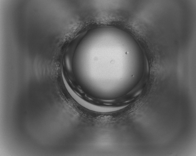 X0000038920452200409291010.png