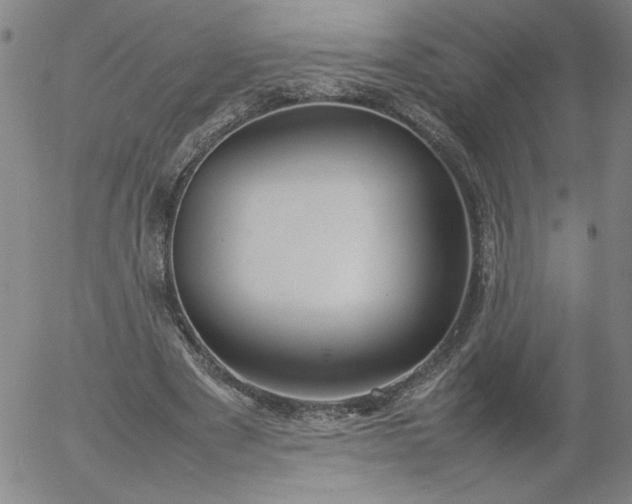 X0000054650489200508091645.png