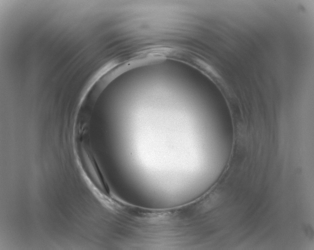 X0000054331426200508111907.png